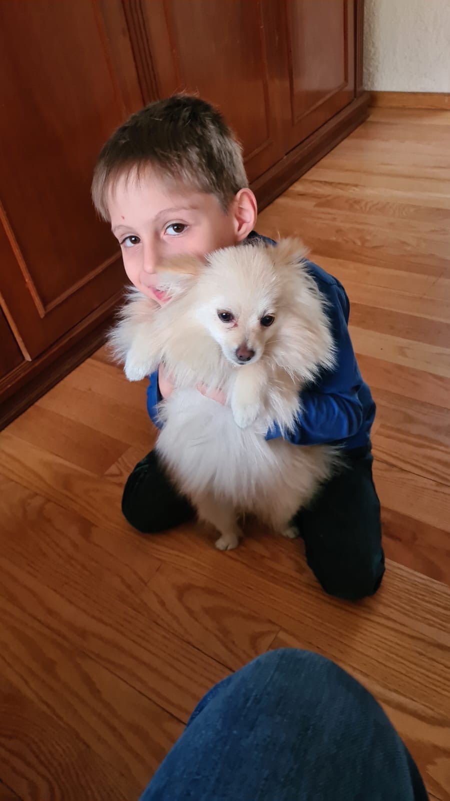 Mascota feliz y tranquila con TrustPet Relocation